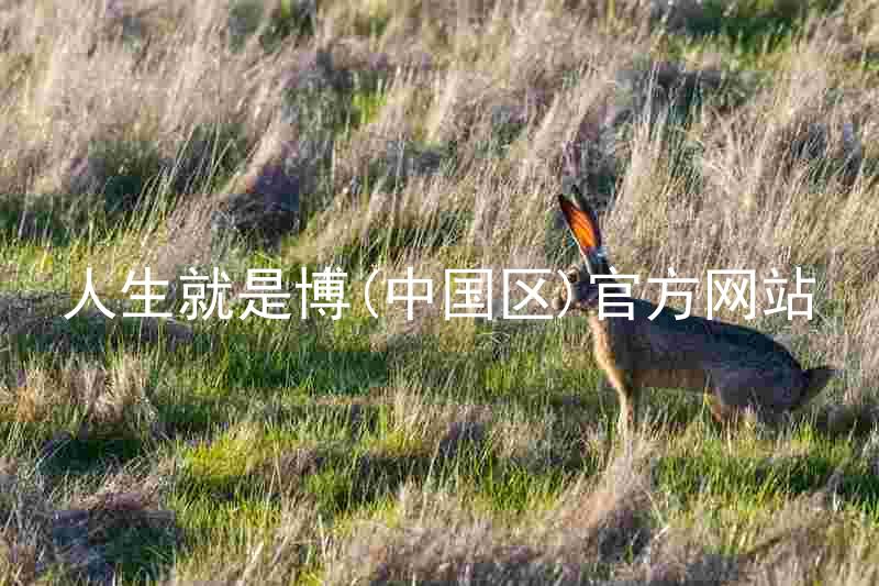 人生就是博(中国区)官方网站